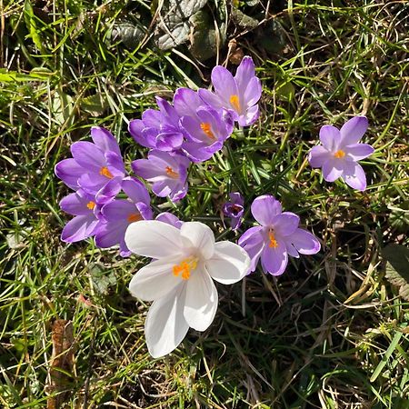 Aich21 Daire Peißenberg Dış mekan fotoğraf