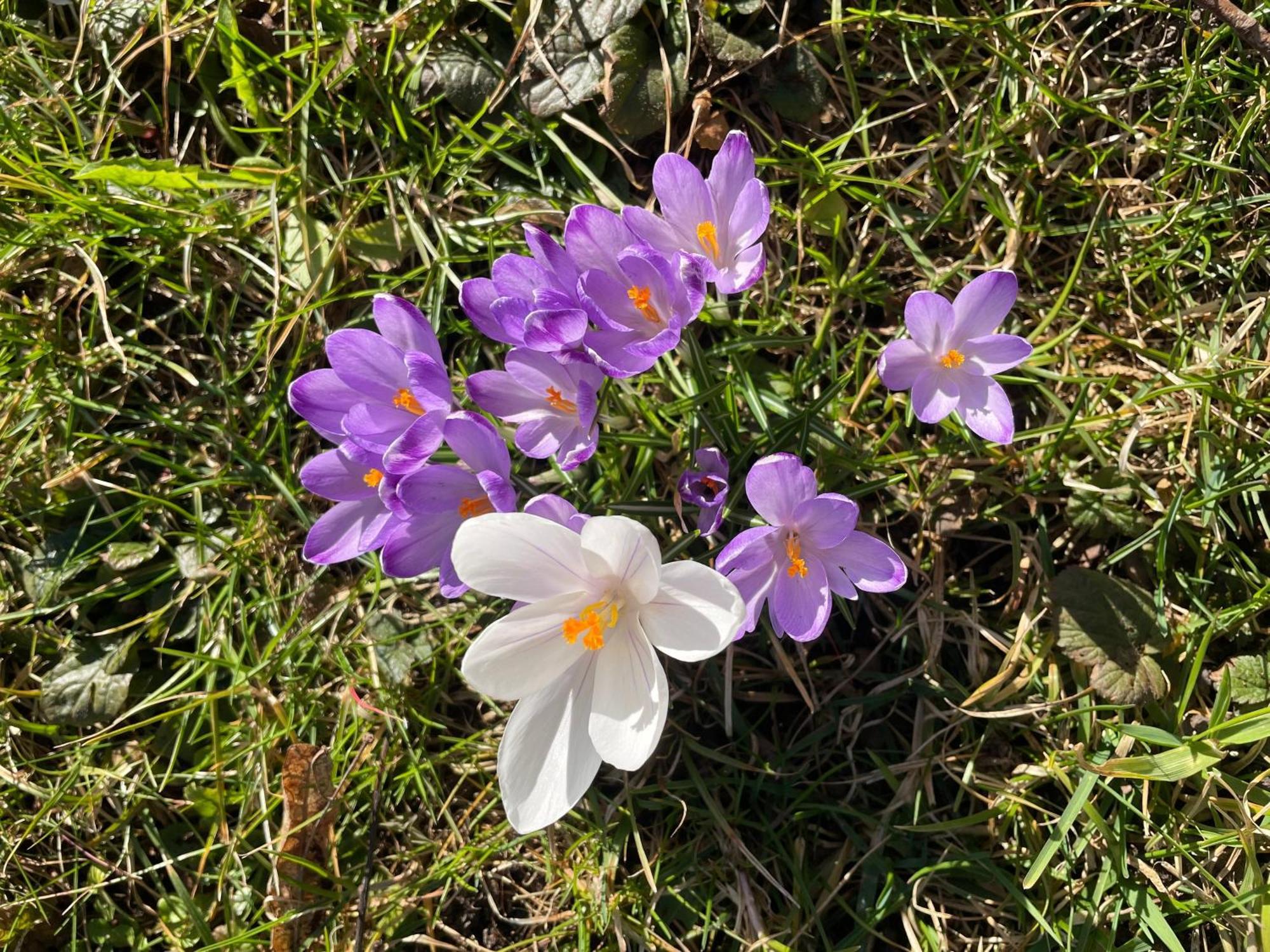Aich21 Daire Peißenberg Dış mekan fotoğraf