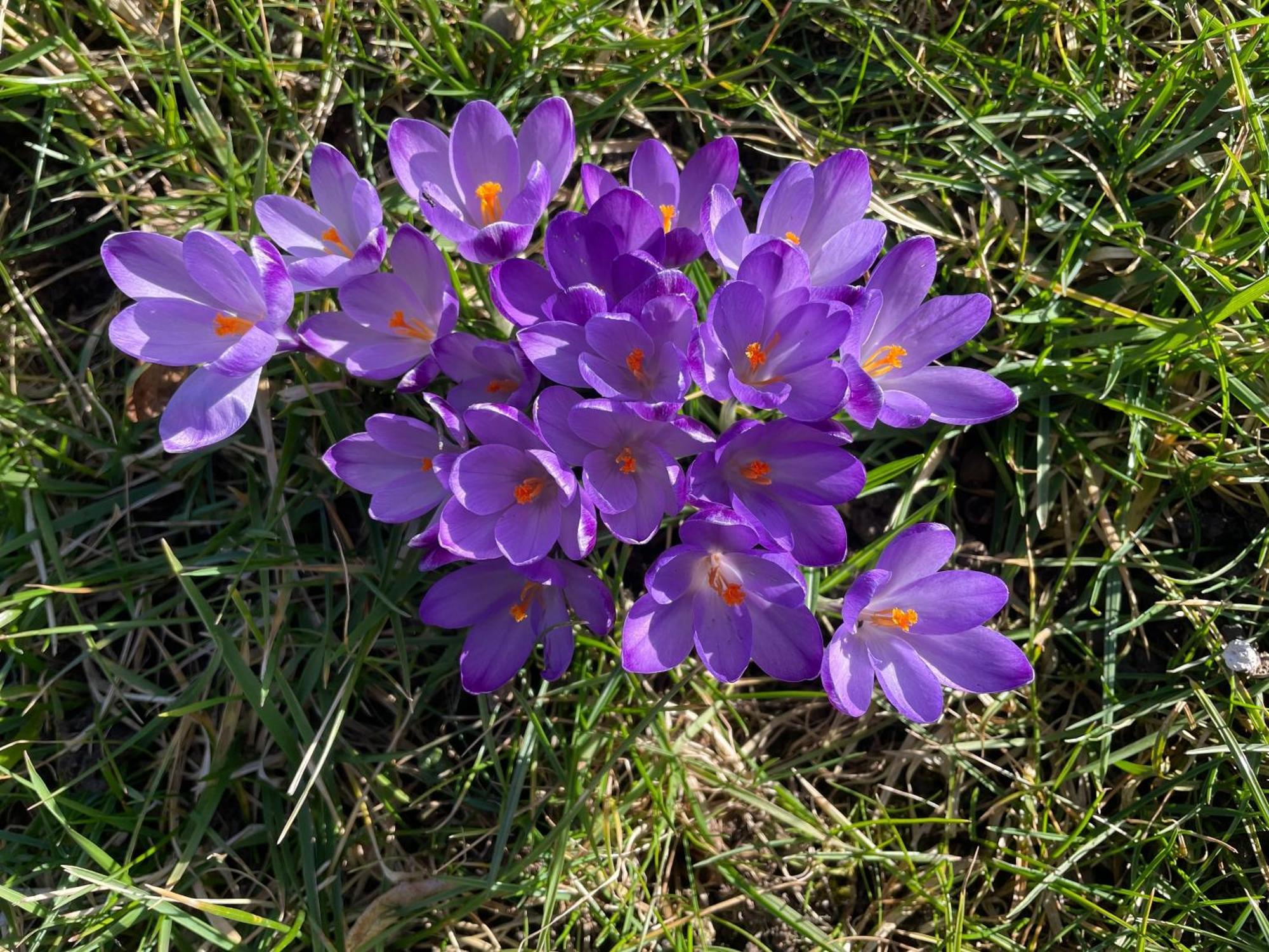 Aich21 Daire Peißenberg Dış mekan fotoğraf